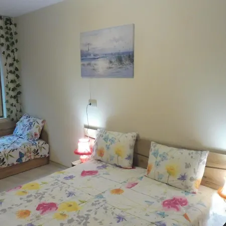 Viktoria בית הארחה