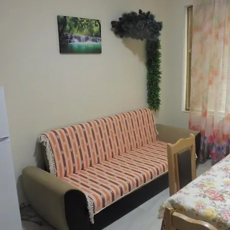 Viktoria בית הארחה פומורי