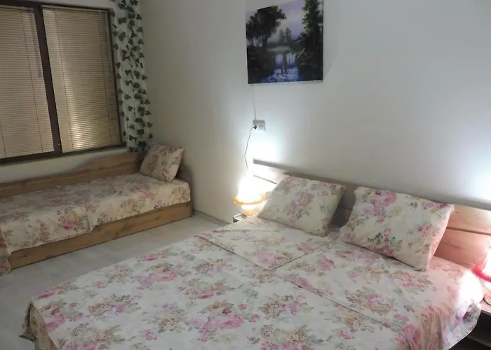 Viktoria ゲストハウス 4*