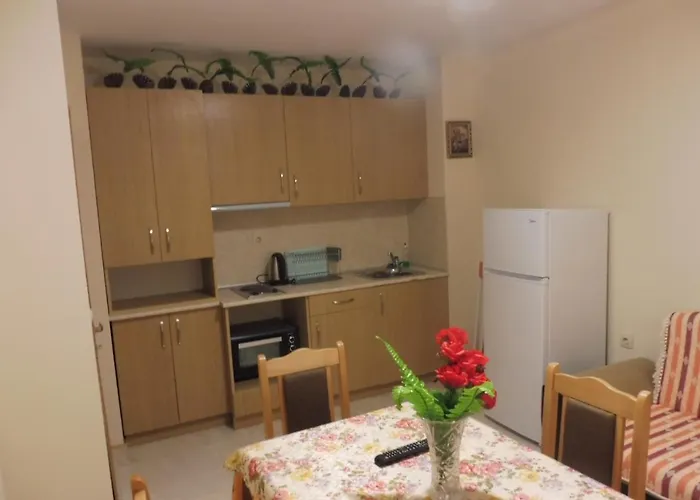 ゲストハウス Viktoria ポモリエ