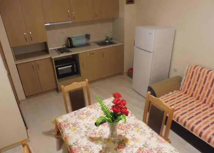 ゲストハウス Viktoria ポモリエ