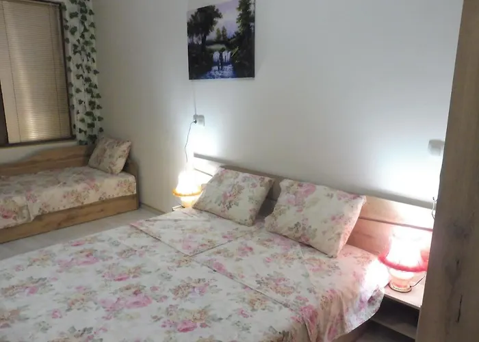 ゲストハウス Viktoria 4*