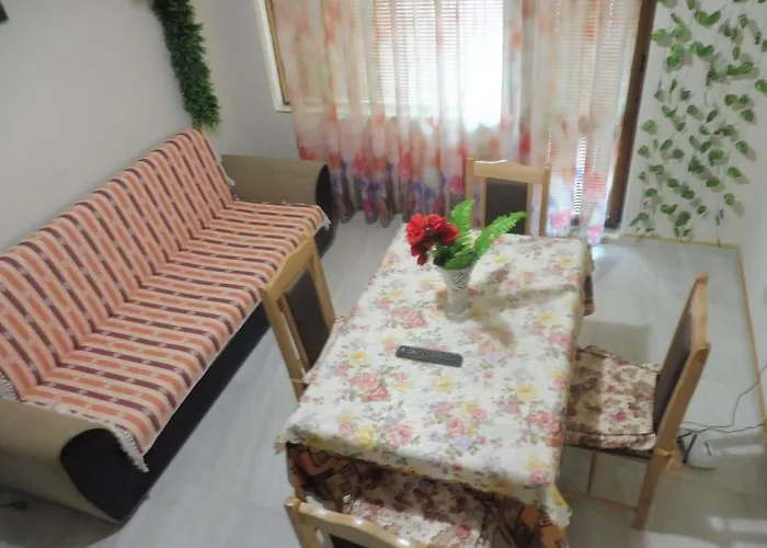 Viktoria ゲストハウス ポモリエ