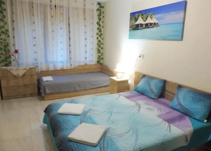 ゲストハウス Viktoria ポモリエ