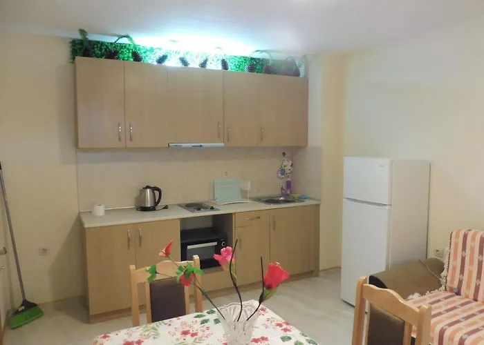 ゲストハウス Viktoria ポモリエ