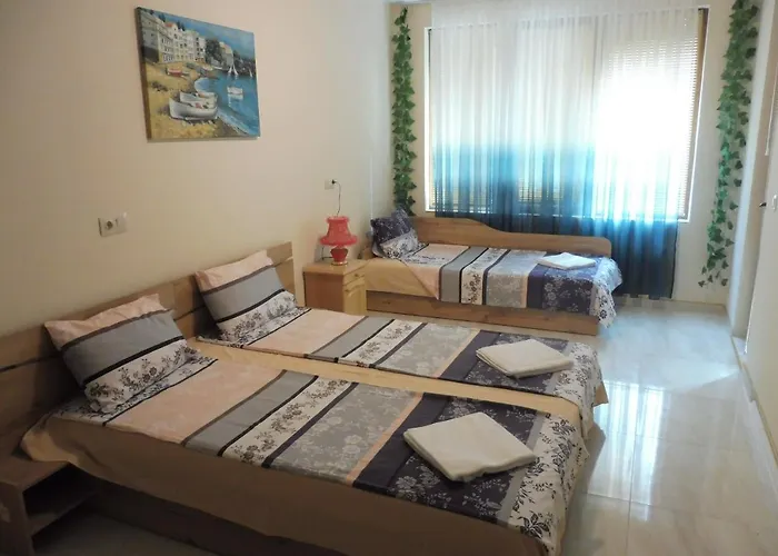 ゲストハウス Viktoria